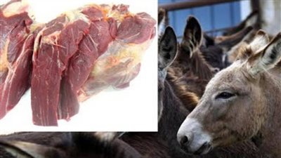 اليوم العالمي للحمير.. لحم الحمار المصري ينافس الوزة والشاوزو الصيني