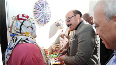 محافظ أسوان: 