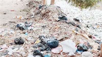 القمامة تحاصر قرية «النزل» بالدقهلية