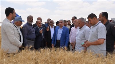 سكرتير عام الإسماعيلية يشهد حصاد 1008 فدان قمح 
