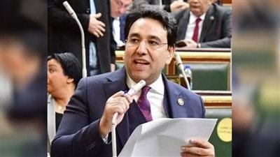 أيمن محسب يرفض ضرب الاقتصاد والتهديد بسحب الاستثمارات من مصر
