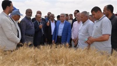 سكرتير عام الإسماعيلية يشهد افتتاح موسم حصاد القمح 