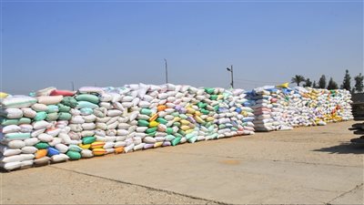 توريد 74 ألفا و526 طن قمح لشون وصوامع الغربية