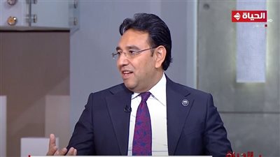 د. أيمن محسب يطالب بإيقاف المشروعات التكميلية.. الحكومة ليست 