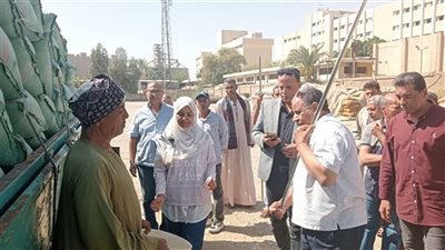 ارتفاع معدل توريد محصول القمح من المزارعين إلى مليون و 700 ألف طن
