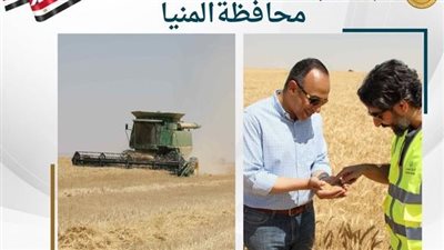 التنمية المحلية تتابع عمليات توريد القمح بالمحافظات