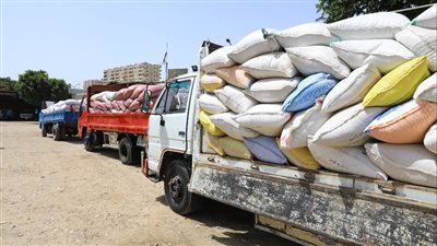 توريد 26417 طن قمح لصوامع وشون سوهاج