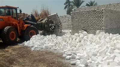 إزالة 226 حالة تعدٍ فى بني سويف
