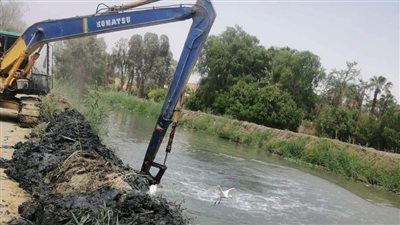 استمرار أعمال التطهير ونزع الحشائش بالمجاري المائية في الفيوم 