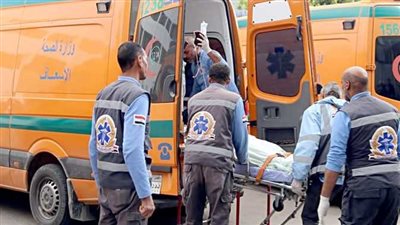 غسالة تكتب الفصل الأخير في حياة ربة منزل وابنها بالمنيا 