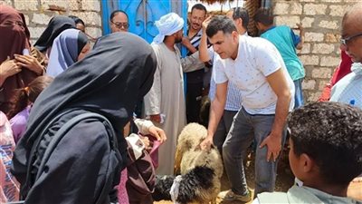 توزيع الأغنام مجانًا على 20 سيدة بمنطقة وادي النقرة (صور)