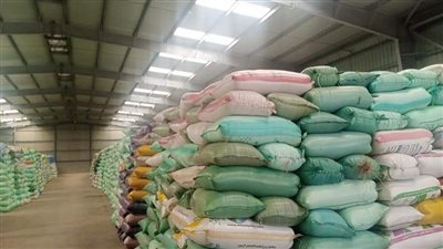 محافظ دمياط تتابع إنتظام عملية توريد القمح للشون والهناجر 