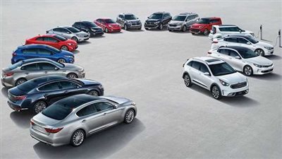 المجمعة المصرية للتأمين الإجباري للمركبات تكشف عن مفاجأة في تراخيص 