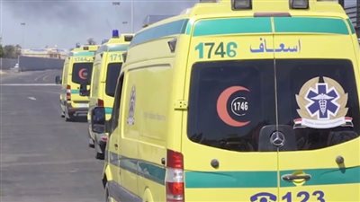 وفاة مسن في مشاجرة بالخانكة بسبب تربية الأغنام