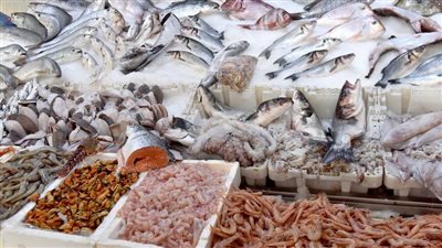 ثبات أسعار الأسماك اليوم السبت في سوق العبور 