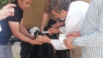 قافلة طبية توعوية شاملة لقرى ههيا بالشرقية 