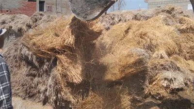 إزالة 14 حالة تعدٍ على أملاك الدولة بدمياط 