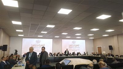 ضياء رشوان:  نبدأ الحوار الوطني دون خطوط حمراء أو قيود