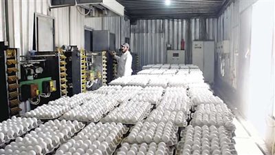 أسعار كرتونة البيض اليوم الأحد