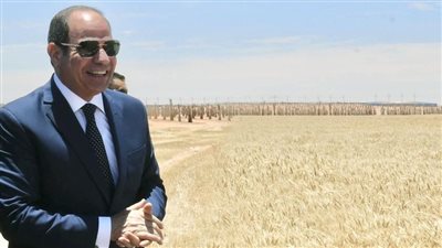 المتحدث الرئاسي ينشر فيديو عن تعمير توشكى 