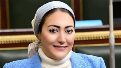 أسماء الجمال: تفقد الرئيس مشروعات بشرق العوينات يعزز التوسع الزراعي والأمن الغذائي