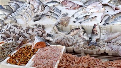 أسعار الأسماك اليوم الإثنين في سوق العبور