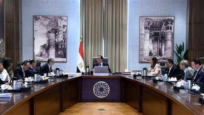 توجيهات حكومية بتنفيذ طرح محطة كهرباء سيمنز ببني سويف فى البورصة