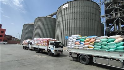 توريد 163 ألف طن قمح لشون وصوامع  البحيرة