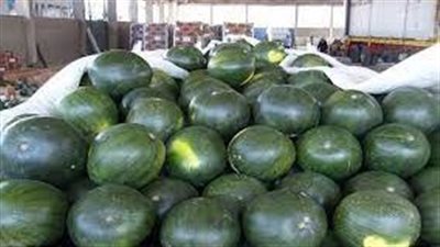 الحكومة تكشف حقيقة انتشار بطيخ مسرطن بمختلف الأسواق