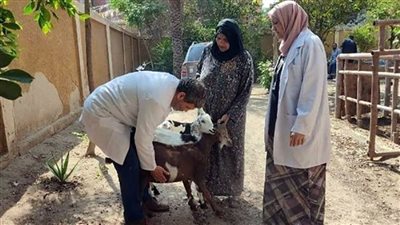 قافلة بيطرية شاملة مجانية بقرية موسى عمران في الشرقية