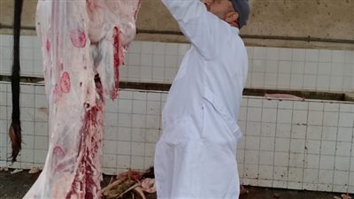 استمرار الحملات على المخابز والأسواق بكفر الشيخ
