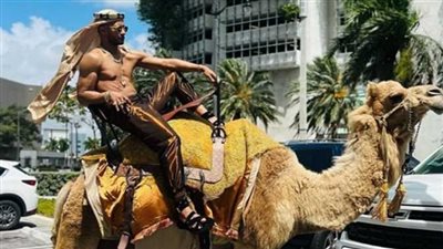 محمد رمضان يتجول بالجمل في شوارع ميامي الأمريكية