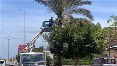 حملة مكبرة لرفع كفاءة المنطقة الصناعية بالدقهلية