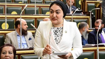 نائبة الوفد تتقدم بطلب إحاطة لوزير الصحة بسبب العجز في العنايات المركزة والحضانات