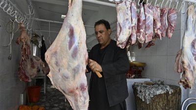  أسباب ارتفاع أسعار اللحوم ومقترحات حل الأزمة 
