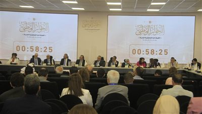 ممثل الدستور يطالب بتقديم مصلحة القصر على الجميع
