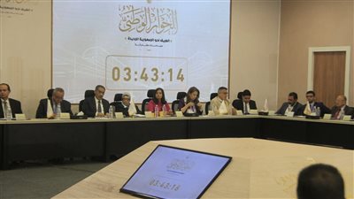 النائبة آية فوزي: الحوار الوطني يؤكد أن جميع المحاور تحظى بذات الأهمية