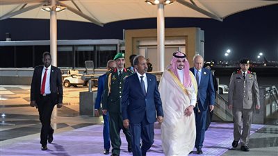 حسن شيخ محمود وقيس سعيد في جدة للمشاركة بالقمة العربية