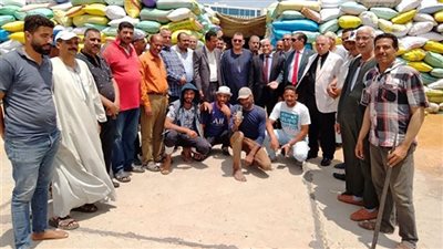 رئيس هيئة الإصلاح الزراعي يتفقد توريد القمح بالبحيرة