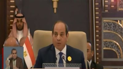 السيسي يحذر من عواقب وخيمة لاستمرار الصراع الفلسطيني الإسرائيلي.. فيديو
