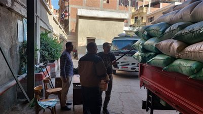 صوامع كفر الشيخ تستقبل 147 ألف طن قمح