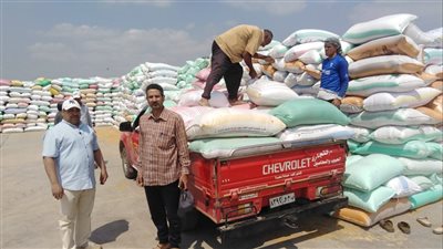 توريد 207 آلاف طن قمح لشون وصوامع محافظة البحيرة 