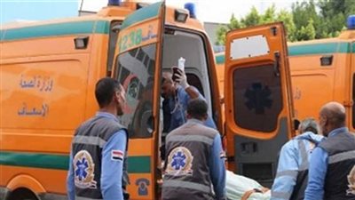 ضبط 3 أشخاص بينهم مصاب في مشاجرة بطما