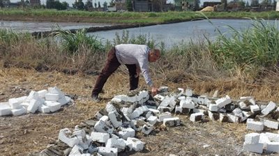 إزالة 227 حالة تعدٍ على الأراضي الزراعية بكفرالشيخ