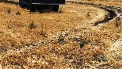 إزالة 60 حالة تعدٍ  على الأراضي الزراعية بالشرقية 