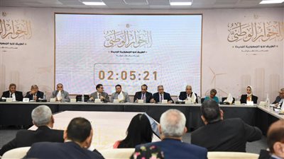 محمود فوزي: التوافق على إصدار قانون المحليات ضرورة مهمة