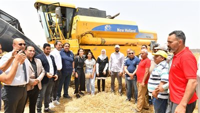 ننشر فعاليات يوم حصاد القمح بقرية العشرة آلاف بأبوالمطامير