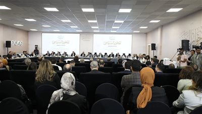 ضياء رشوان يكشف عن أهم أسباب إغلاق الصحف الحزبية
