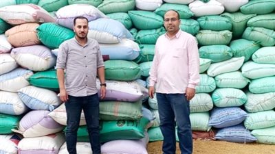 ضبط 160 طن قمح تم جمعهم بدون تصريح فى الدقهلية