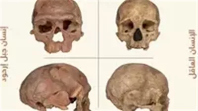 نشأ في أفريقيا قبل 300 ألف عام.. أقدم رفات للإنسان تكشف الحقيقة